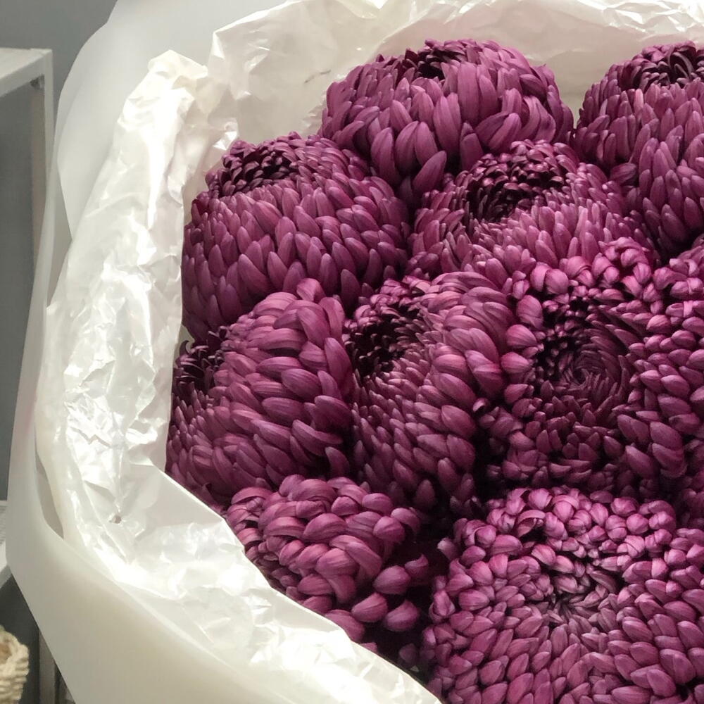 Винный погреб 🍇