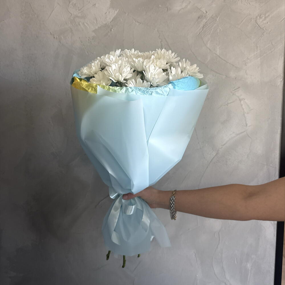 Ромашковая радуга