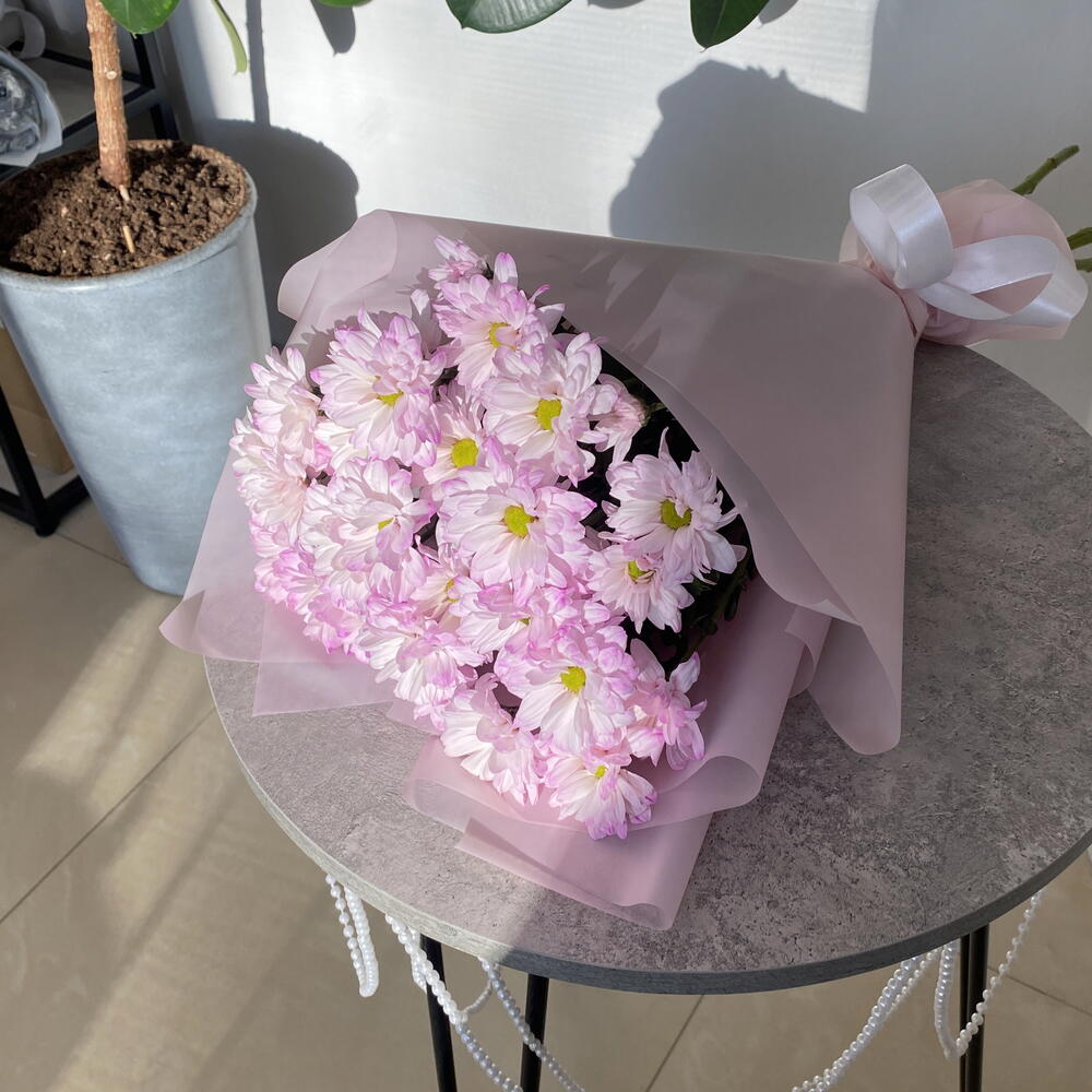 Моно хризантем🌸