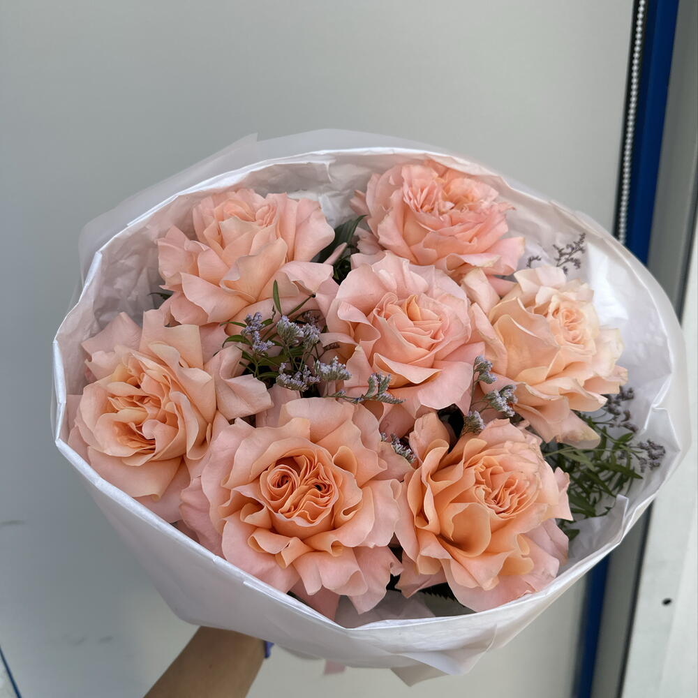 Розы 🌹