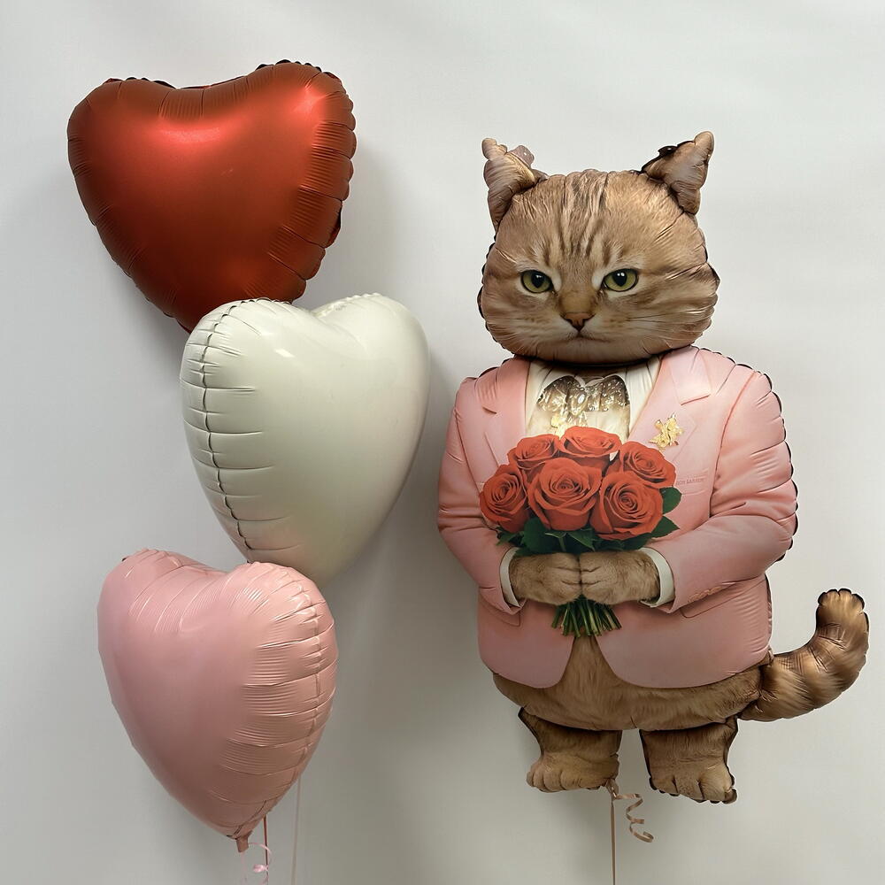 Шарики с котом котик с сердцами