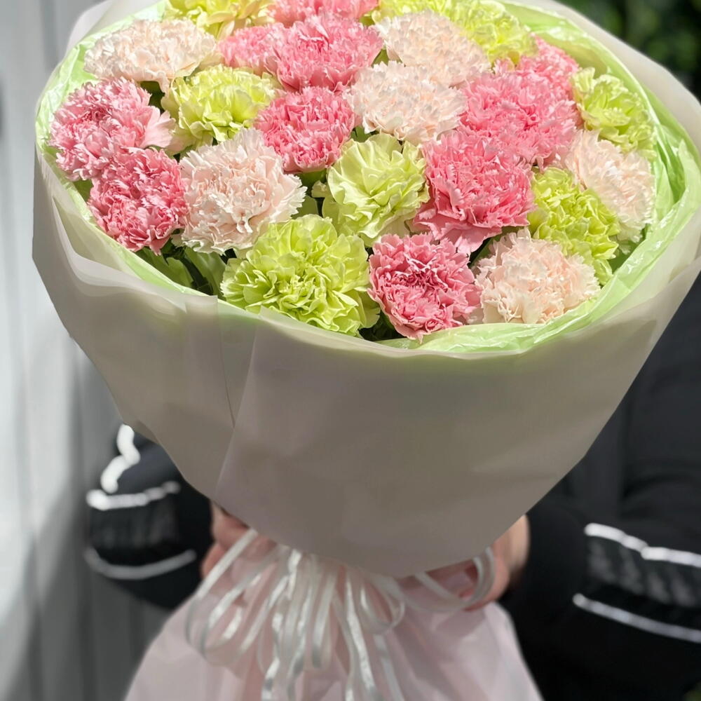 Микс диантусов 25 шт