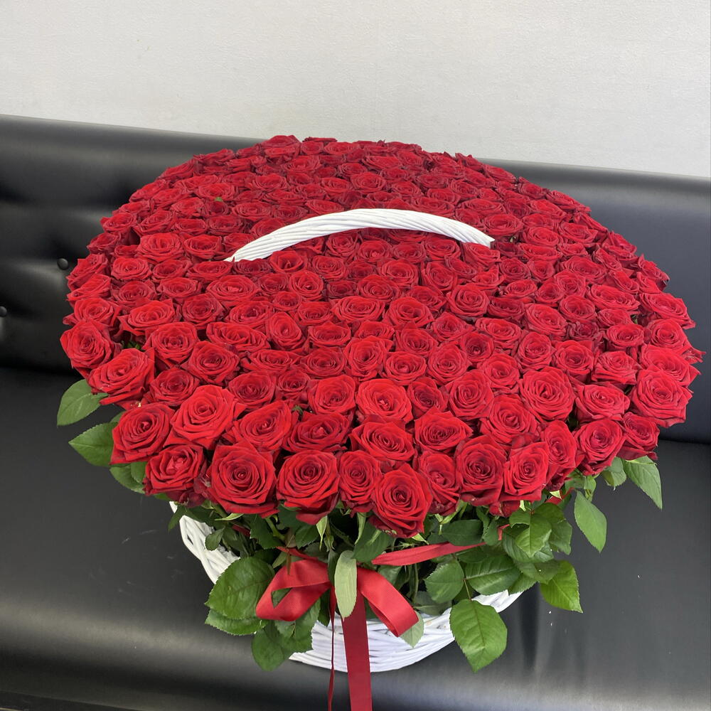 201 в корзине😍