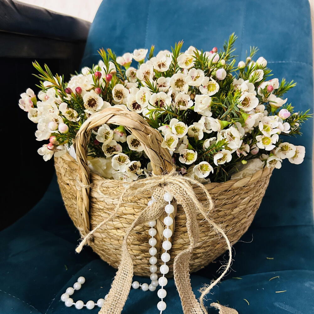 Хамелациум в корзине🌺🌸🌸