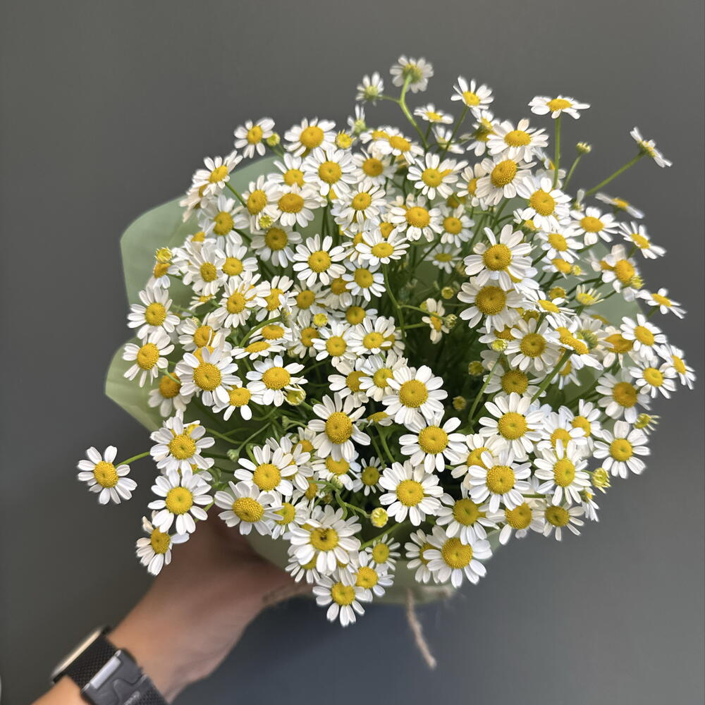 Композиция с ромашками