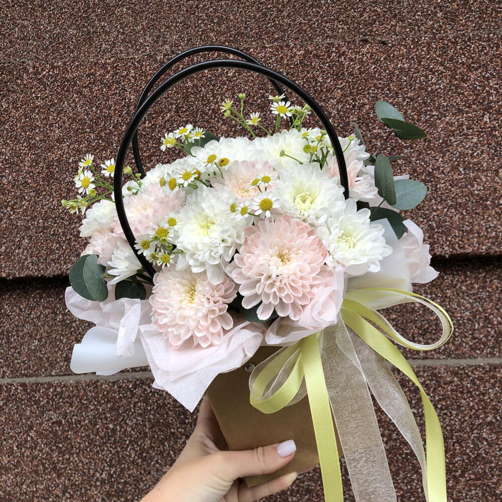 Лучик ромашки 🌼