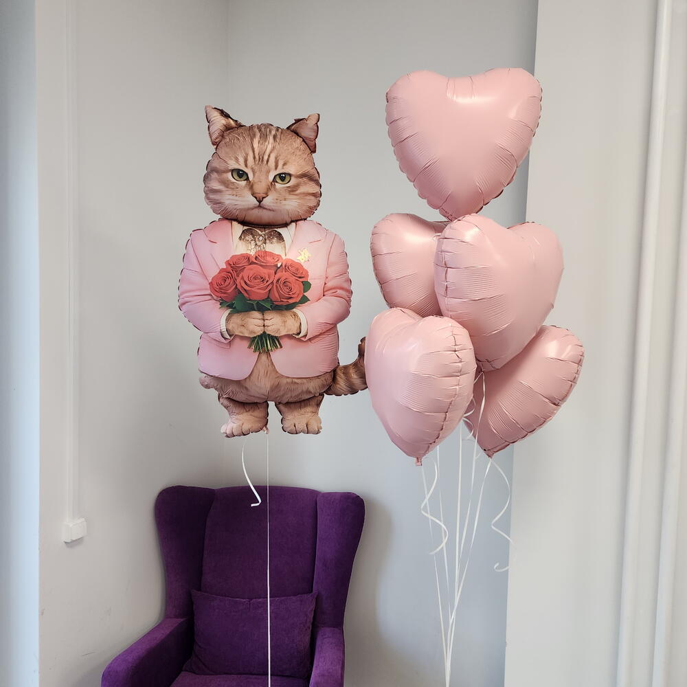 Шары девушке с котом, кот с цветами
