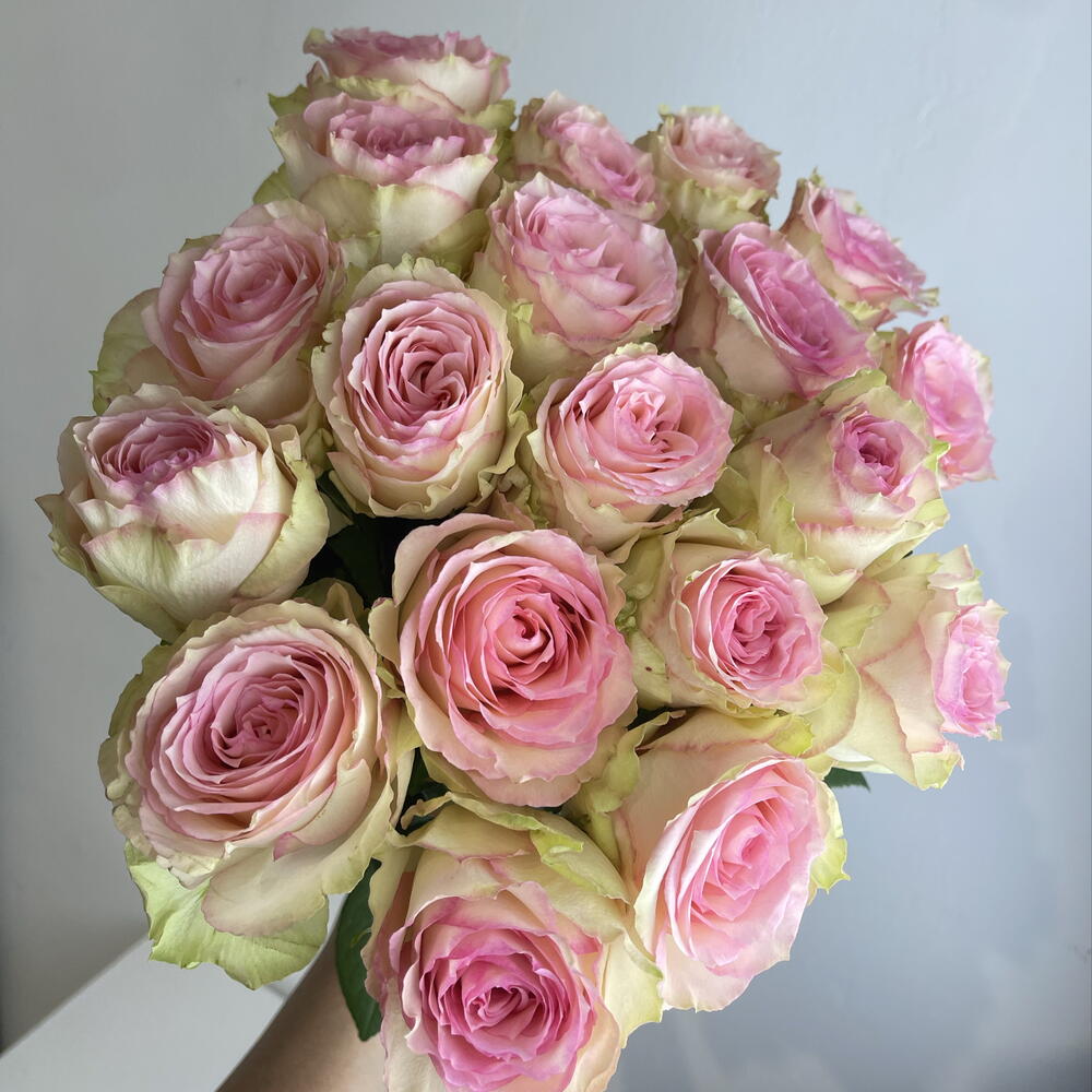 Розы нежные 🌸19