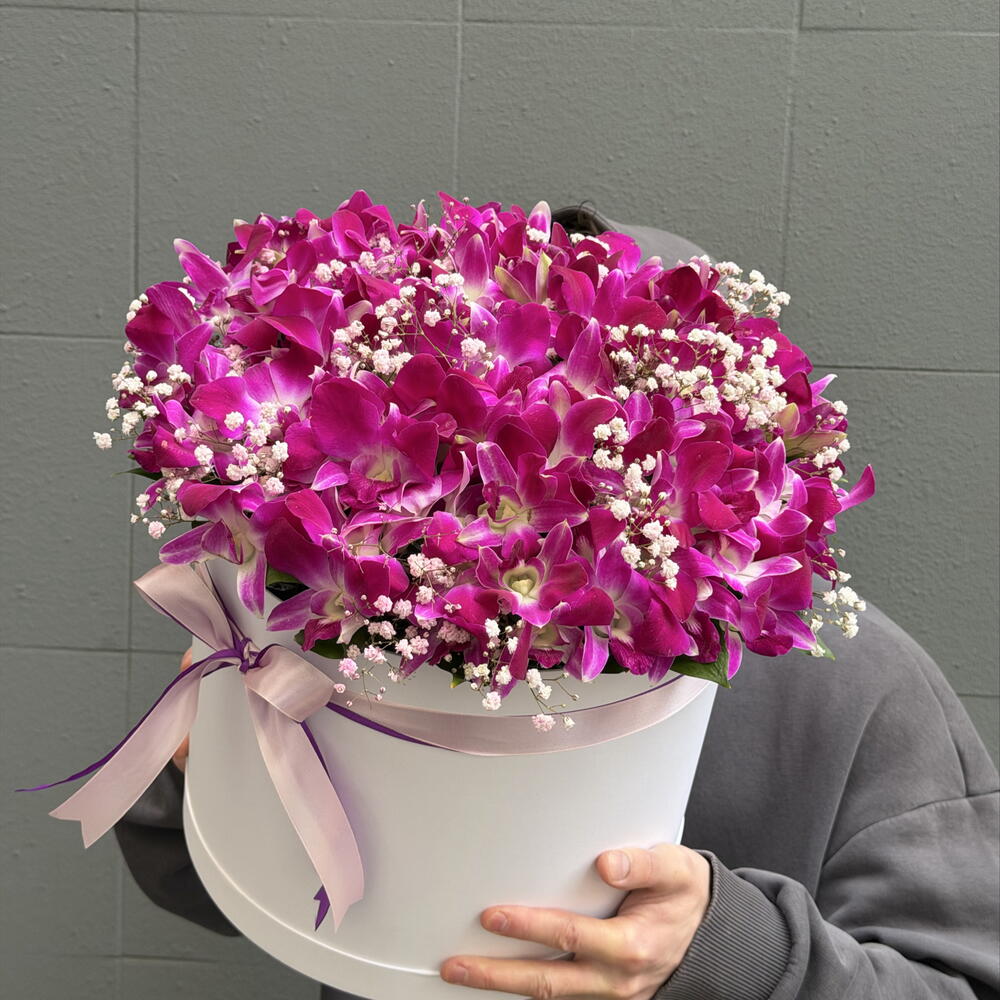 Фиалетовый дендробиум с гипсофилой в большой коробке 💐