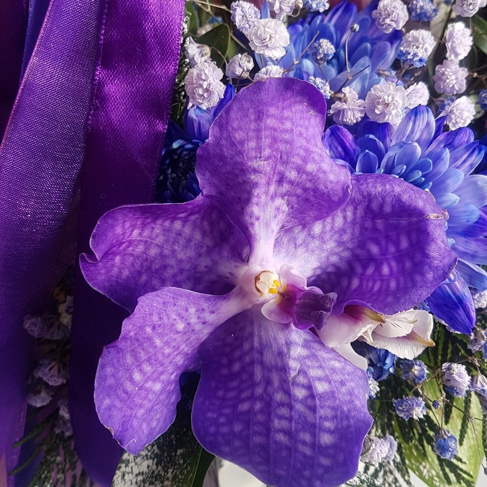 Загадки леса