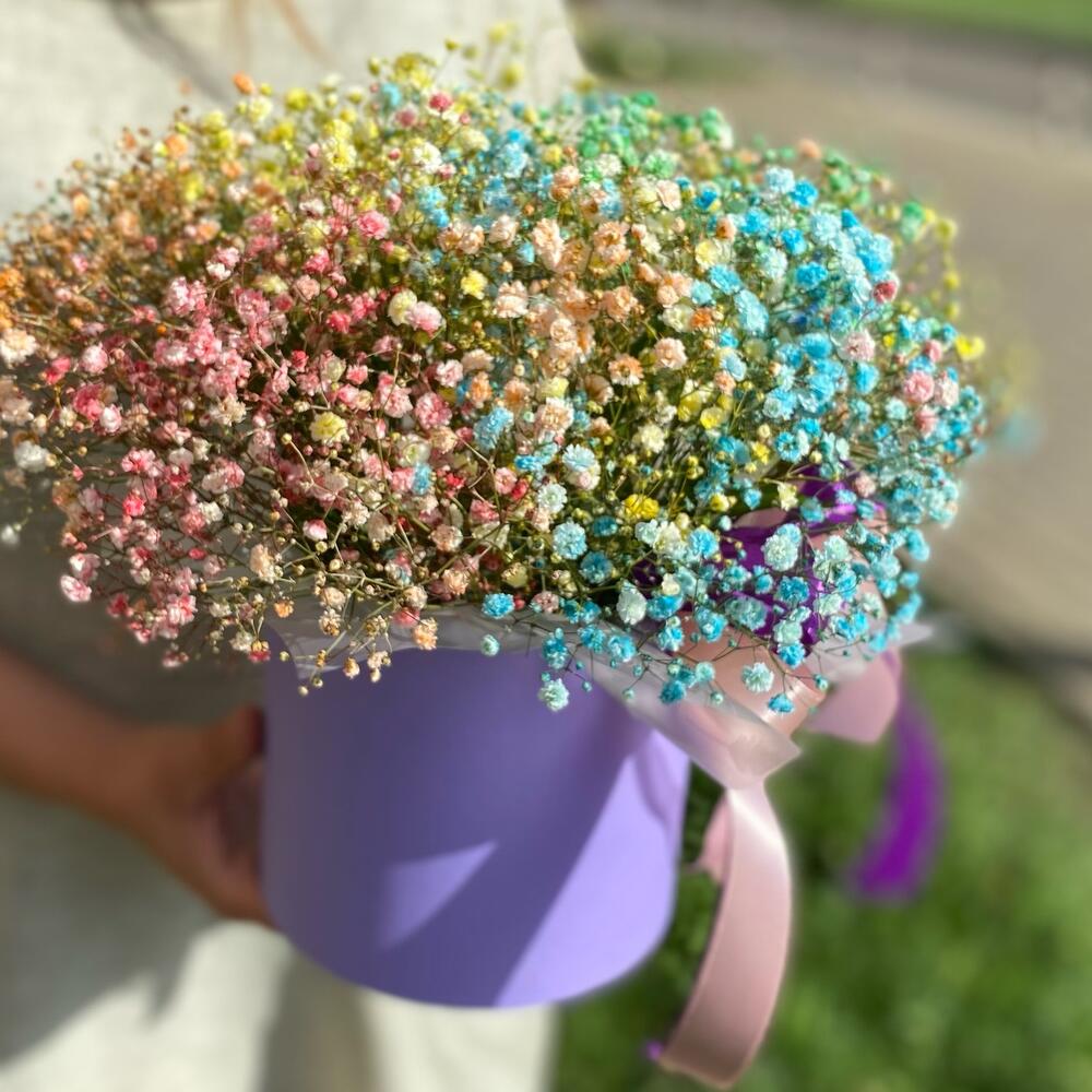 Радужная гипсофилла