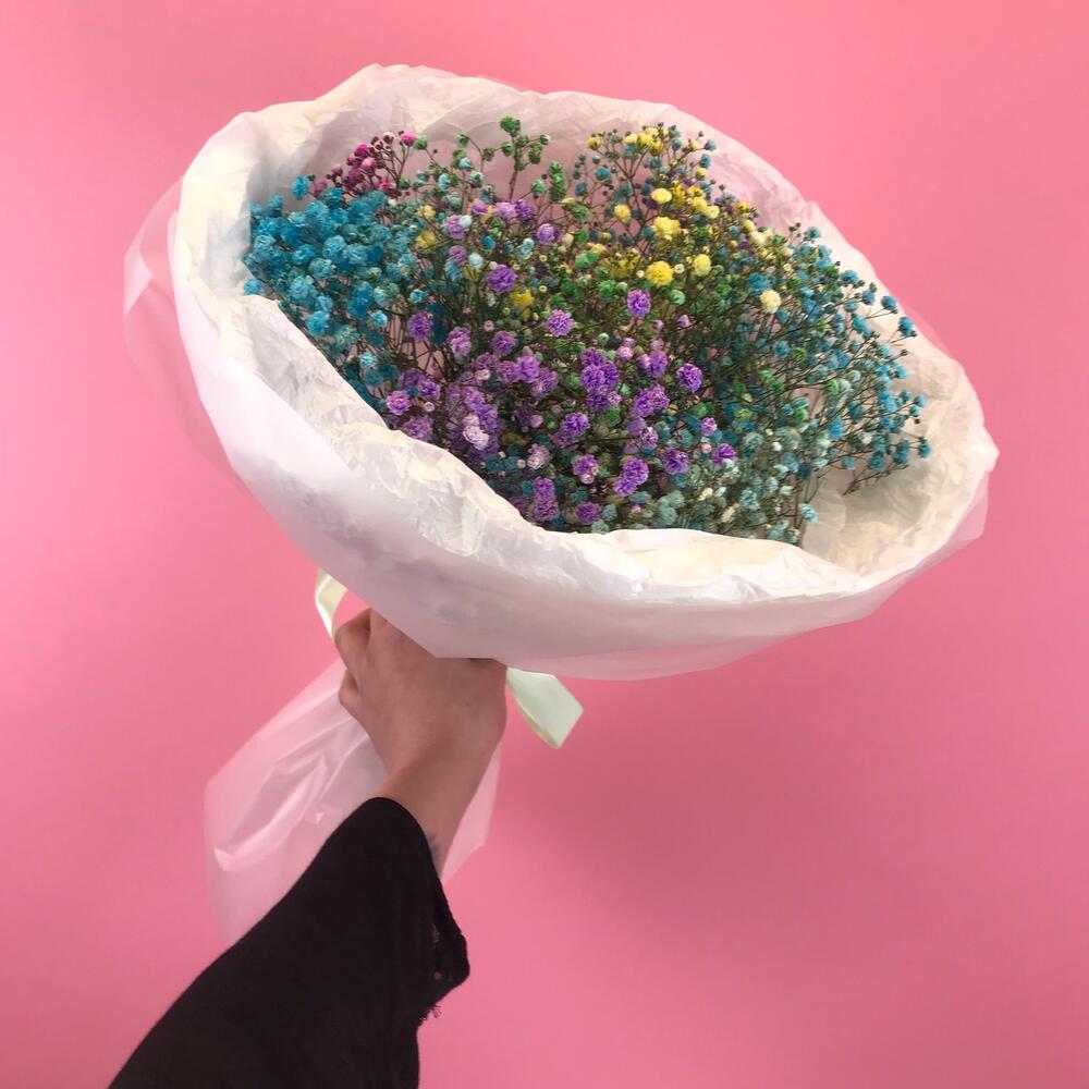 Гипсофила радуга 🌈 хит