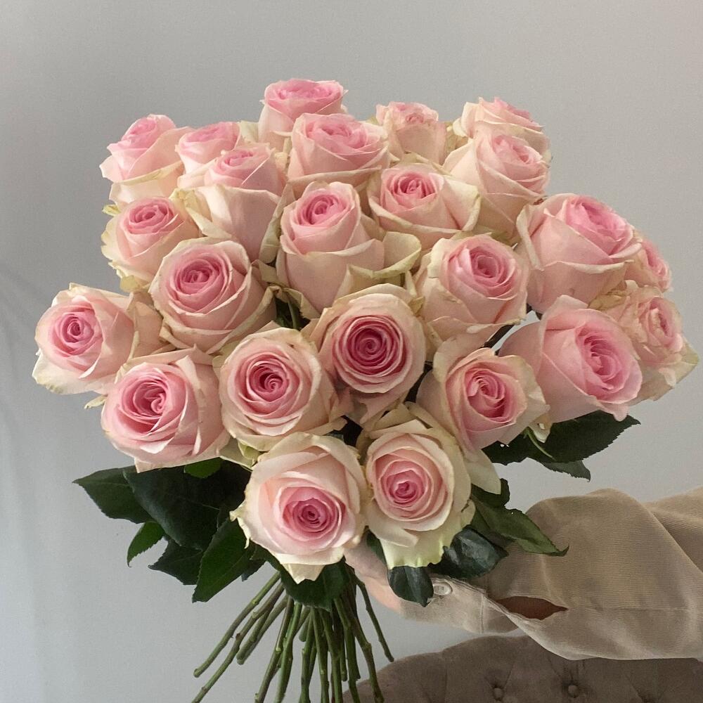 Роза Эквадор