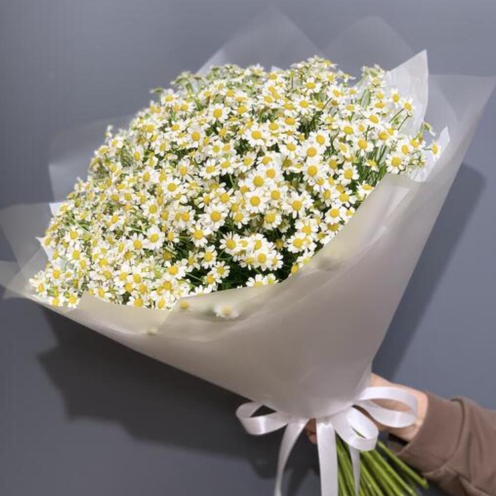 Букет из ромашек (35 шт)