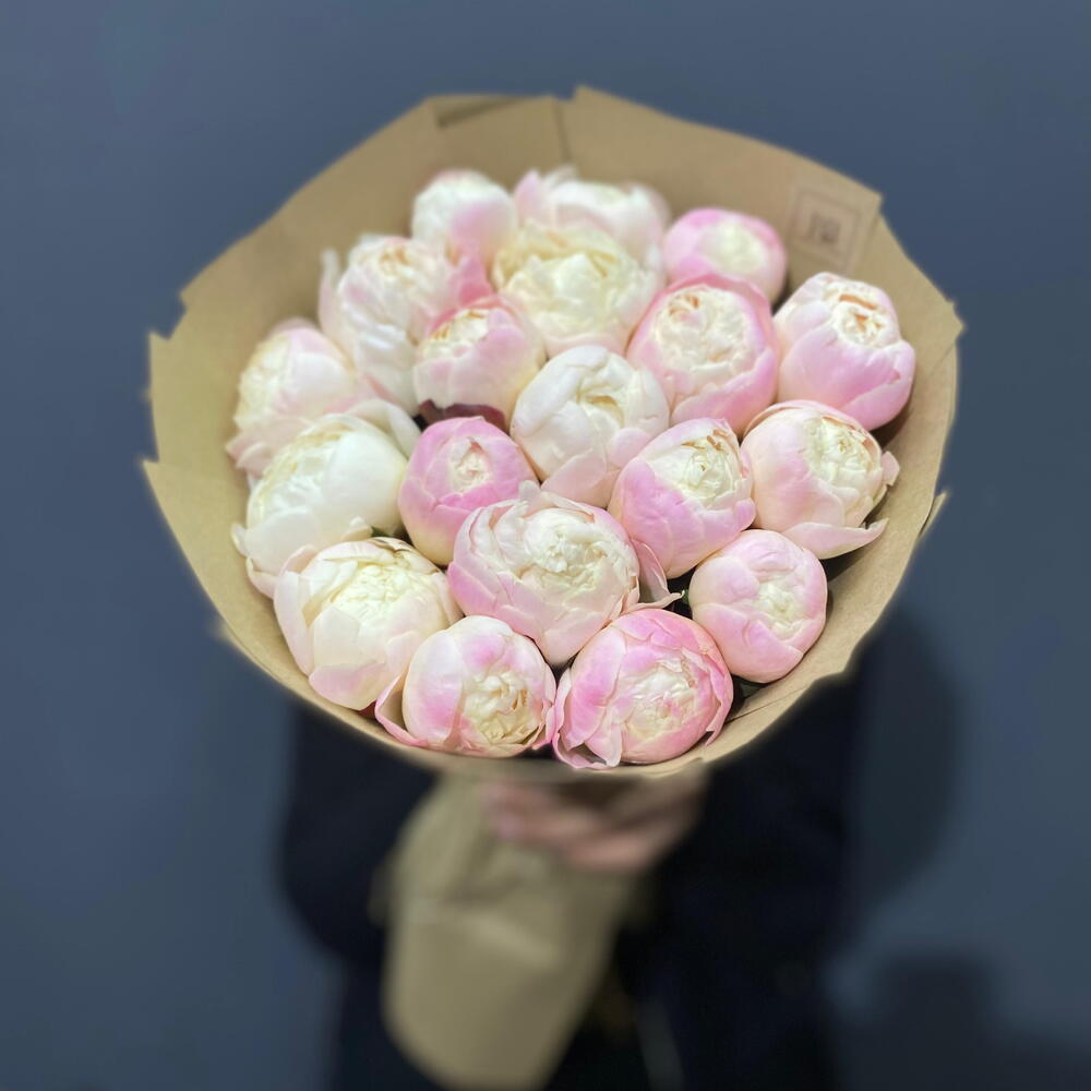 Пионы 19 шт гардения