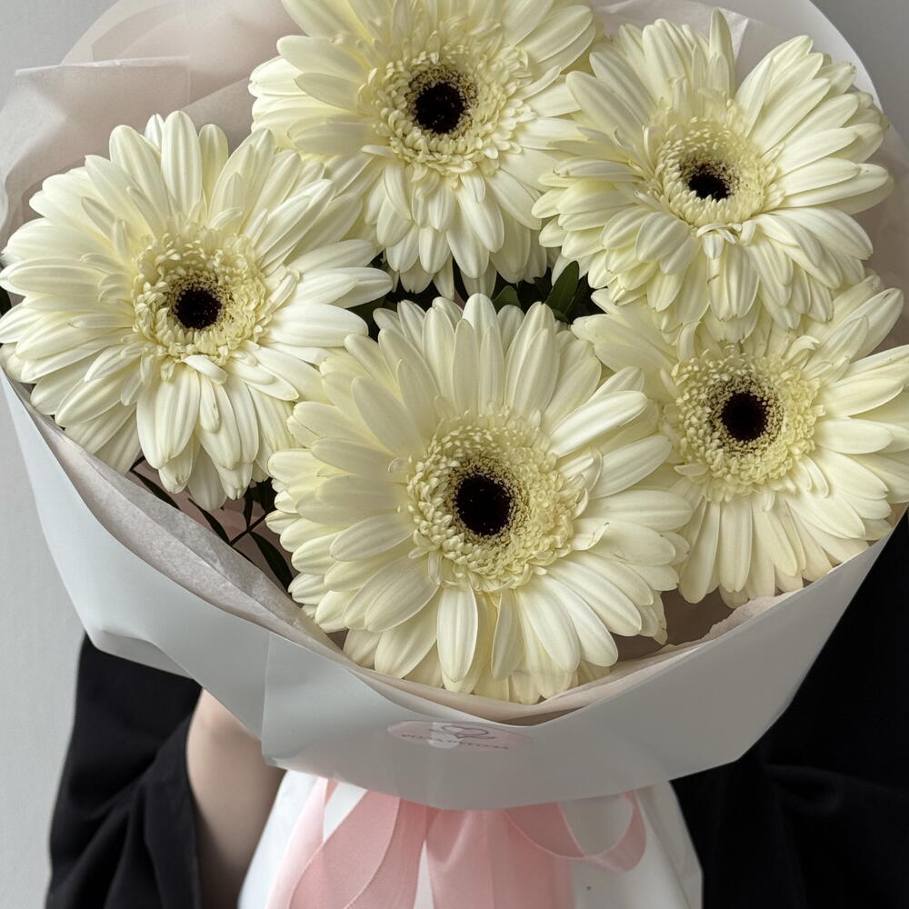 Букет-комплимент из белых Гербер 🌼🤍