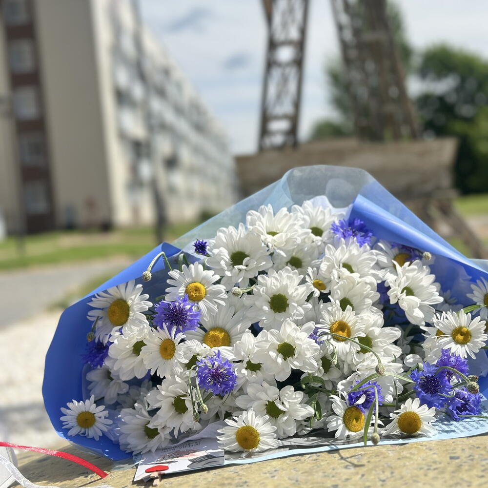 Лето в букете: ромашки+васильки