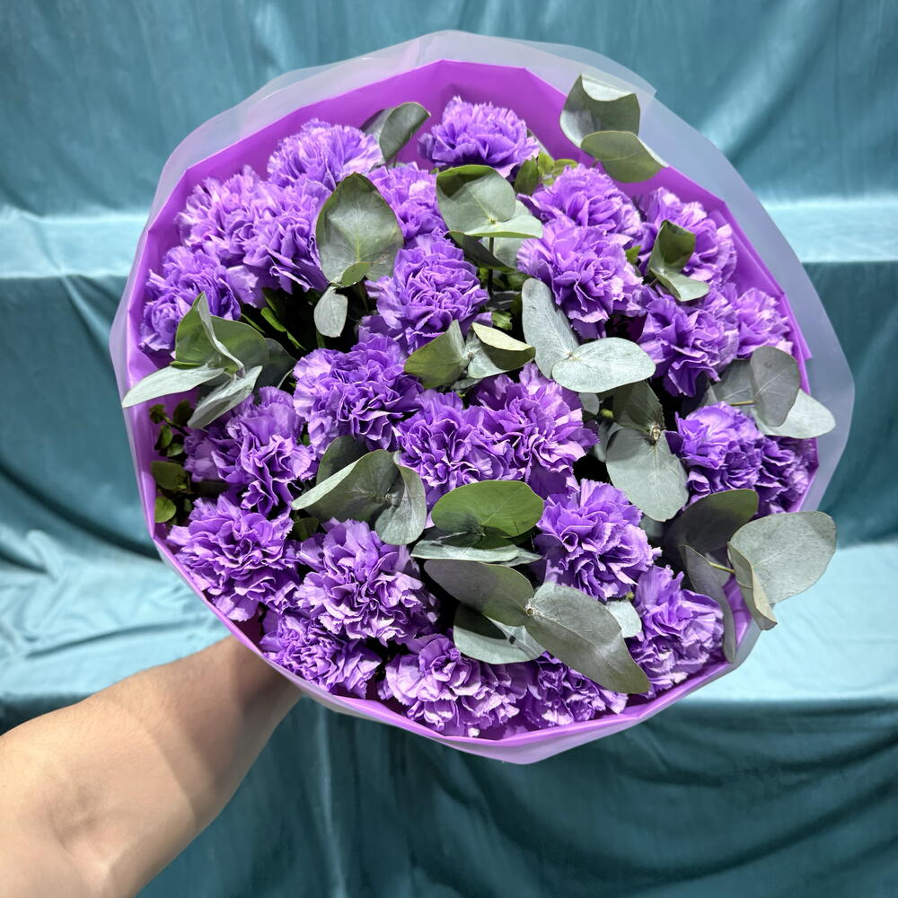 Диантус 💗