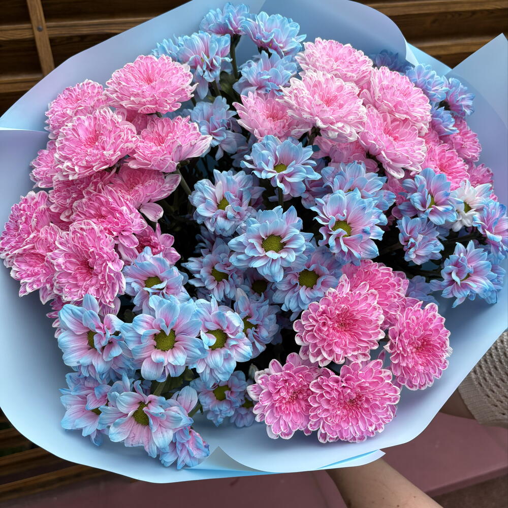 Букет из голубо-розовых хризантем