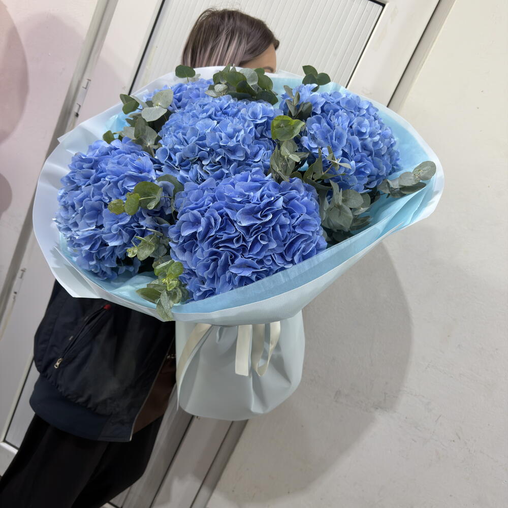 Синие королевские гортензии