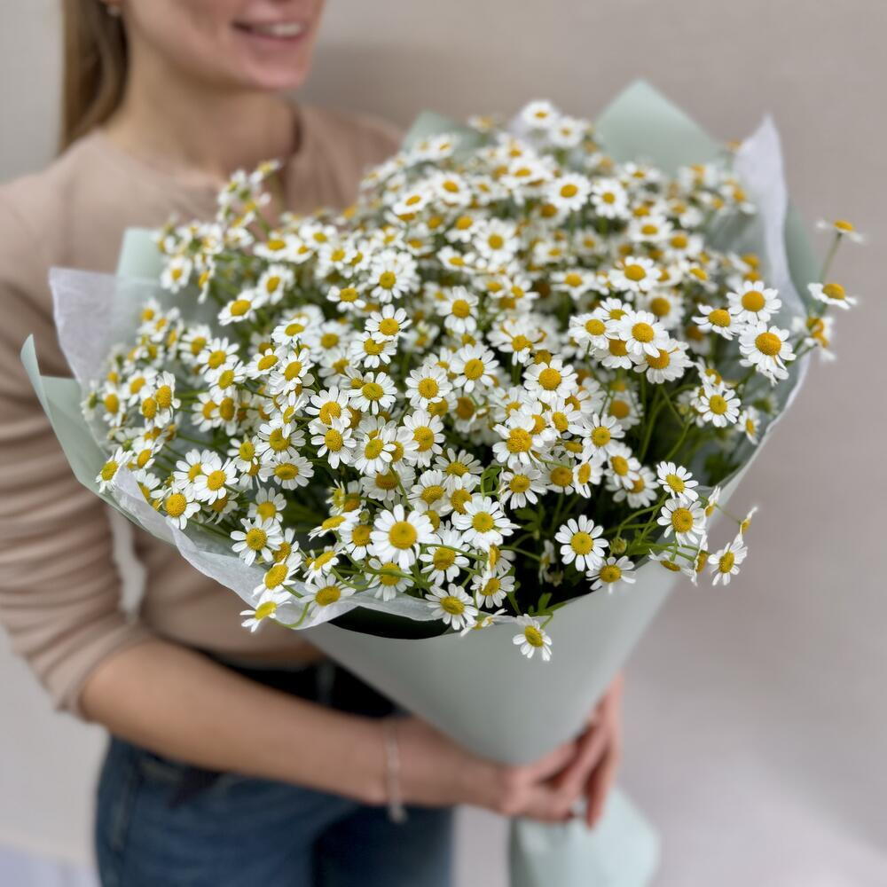 Ромашки кустовые в упаковке