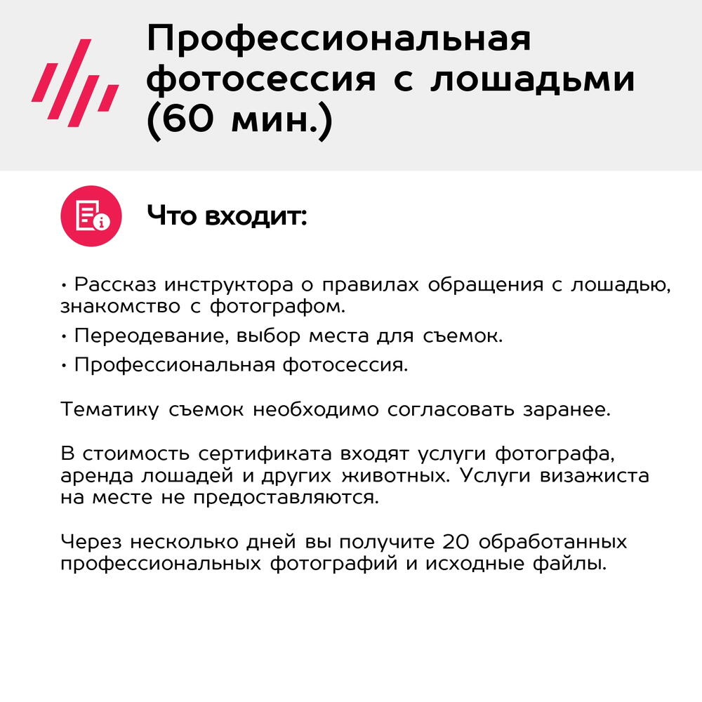 Подарочный сертификат Профессиональная фотосессия с лошадьми (60 мин.) (Московская область)