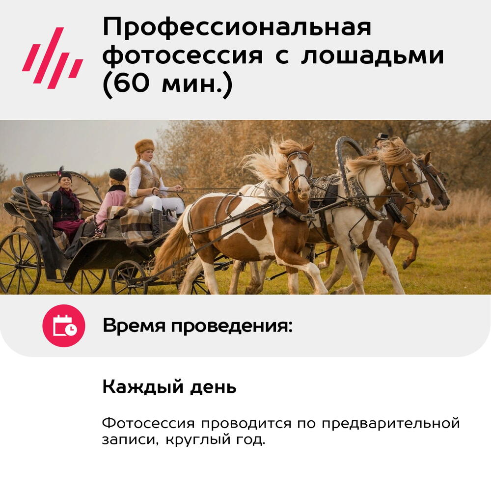 Подарочный сертификат Профессиональная фотосессия с лошадьми (60 мин.) (Московская область)
