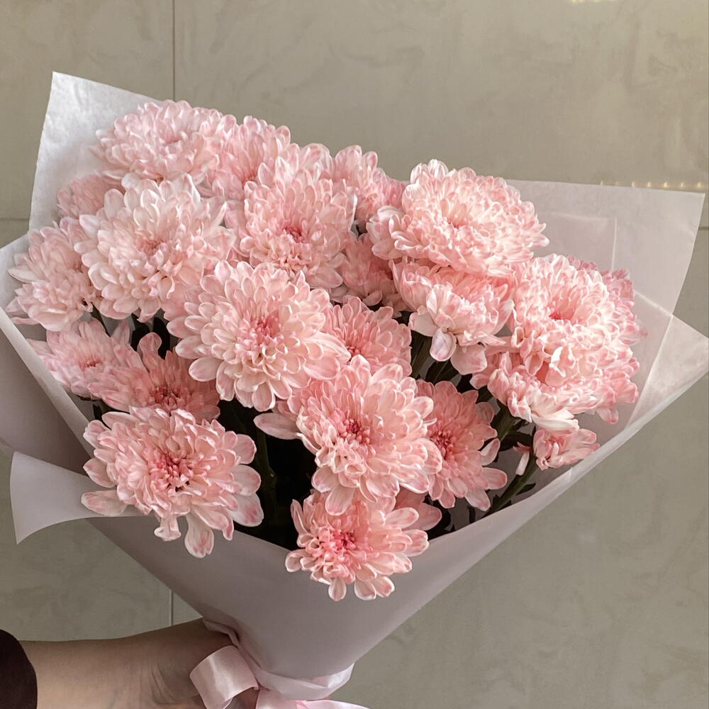 Нежные хризантемы 🌸
