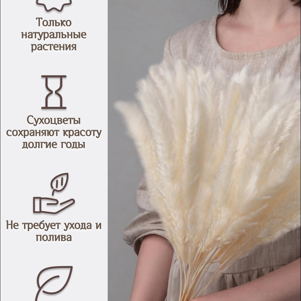 Пампас мини белый 45 шт. Высший сорт М265