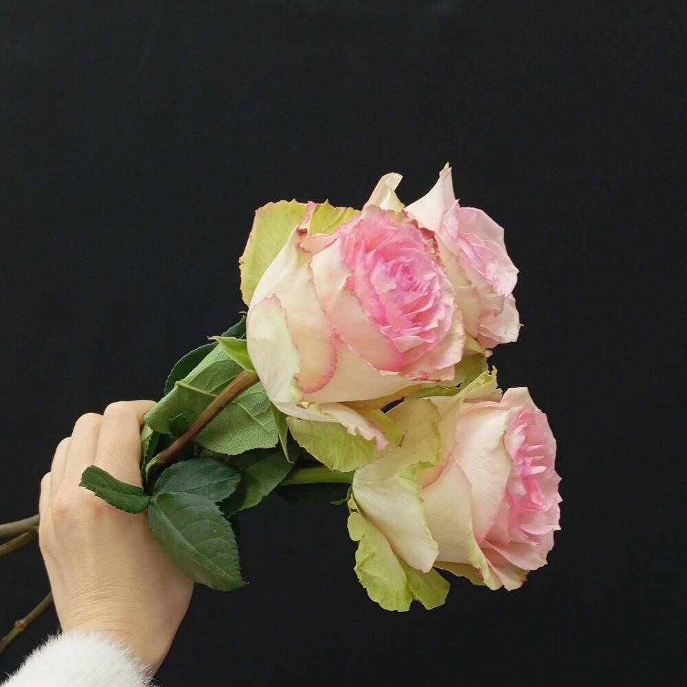 3 розы под ленту 💓