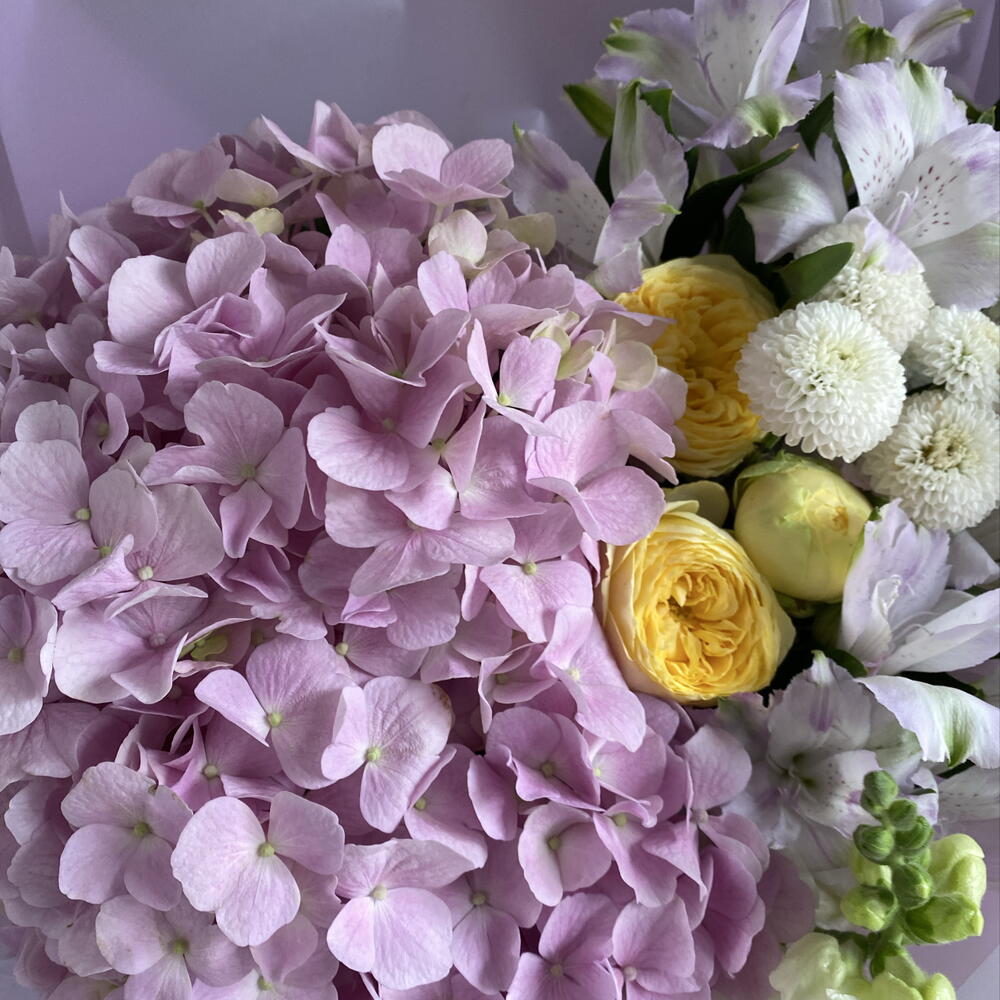 Пышный букет гортензии, кустовой пион.розы, альстромерии🌿🤍🌸