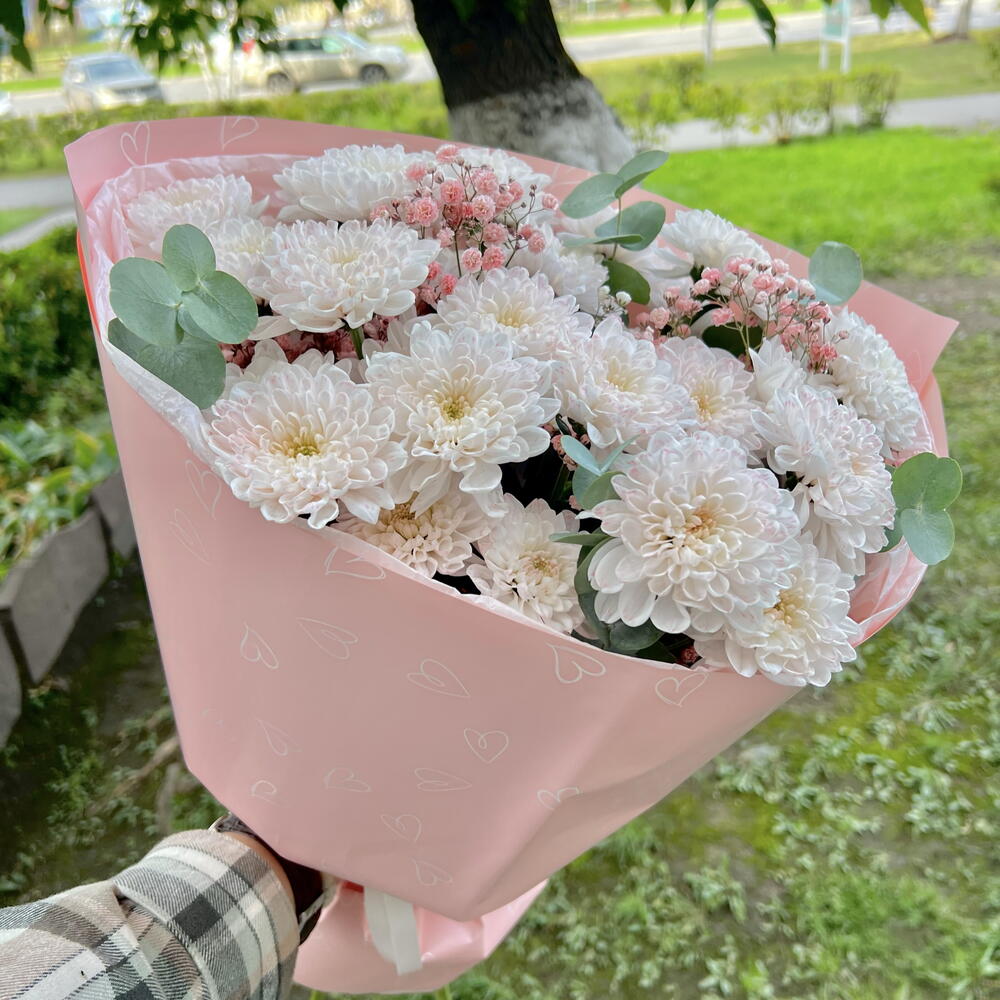 Фламинго
