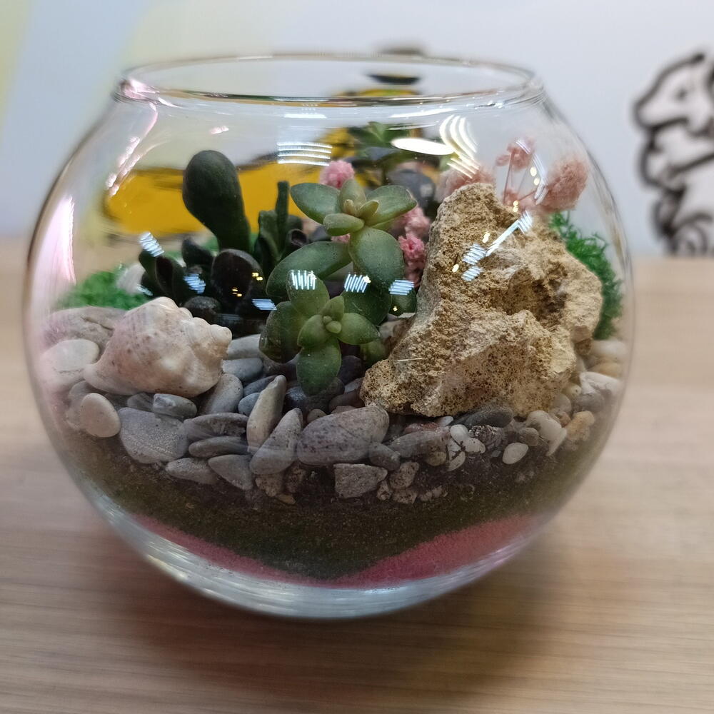 Моне