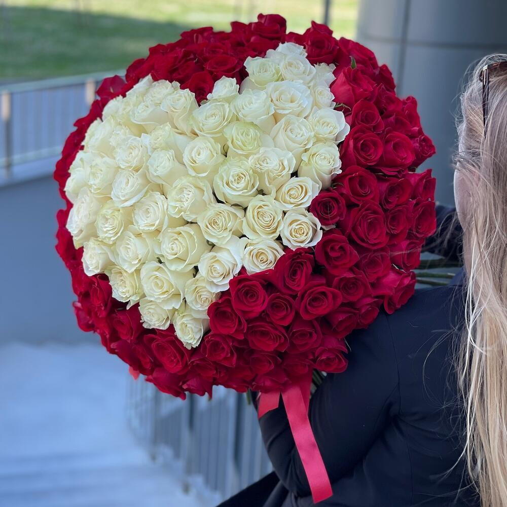 Bouquet of 151 white and red roses