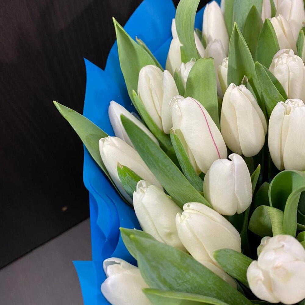 151 white tulips