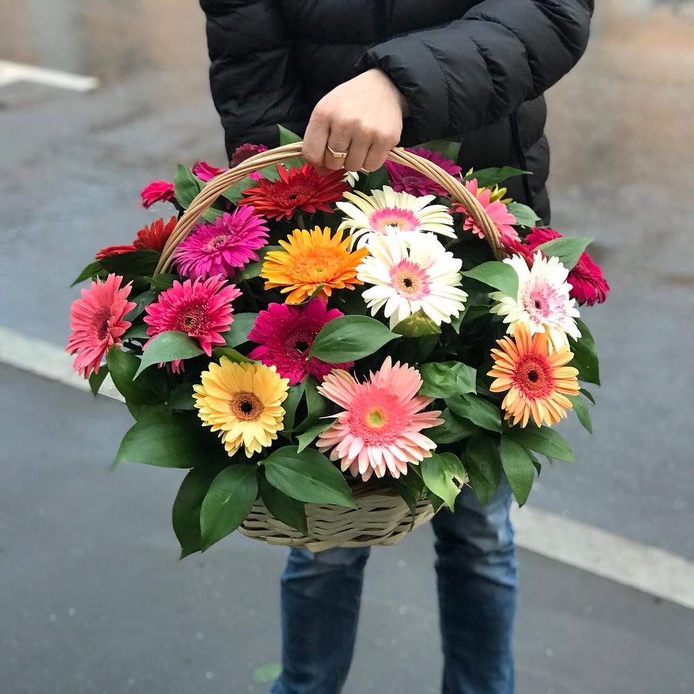 Цветы Герберы Фото Цена За Штуку
