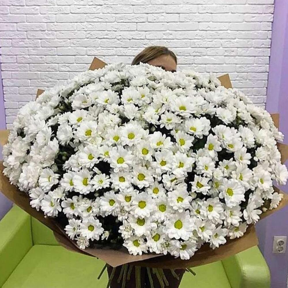 Букет Облако из 101 хризантемы