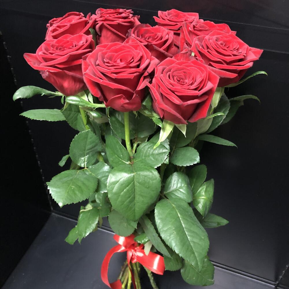 Rosa 60cm