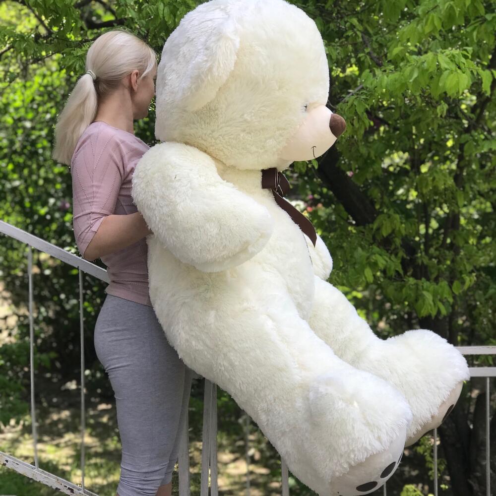 Медведь гигант
