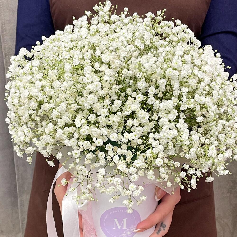 An air cloud of gypsophila in a box
