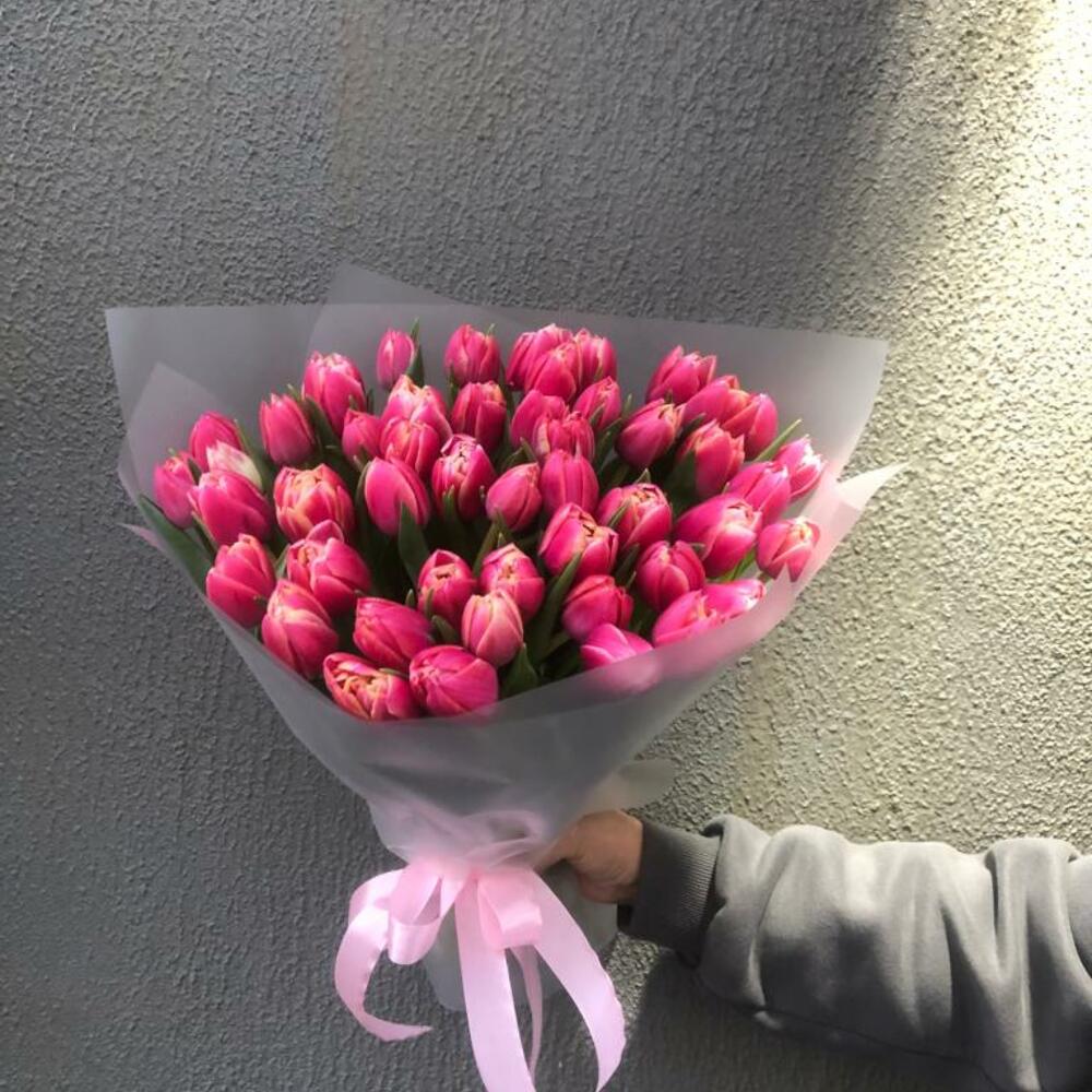 Tulips 49 colombos