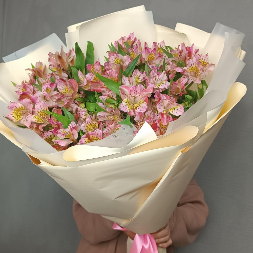 Alstroemeria 17