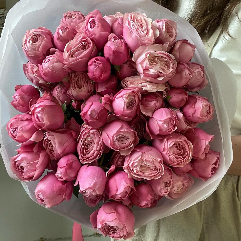 11 кустовых пионовидных pоз