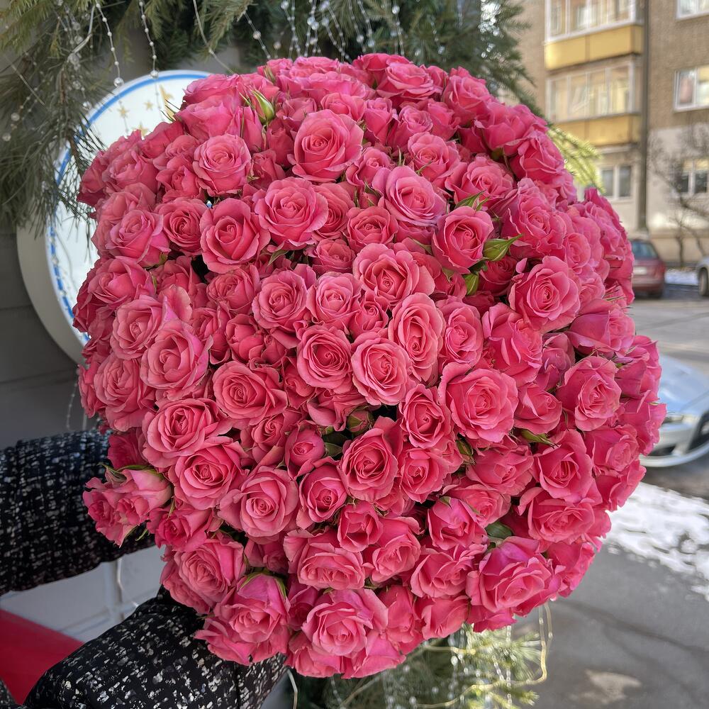 Кустовая малиновая роза