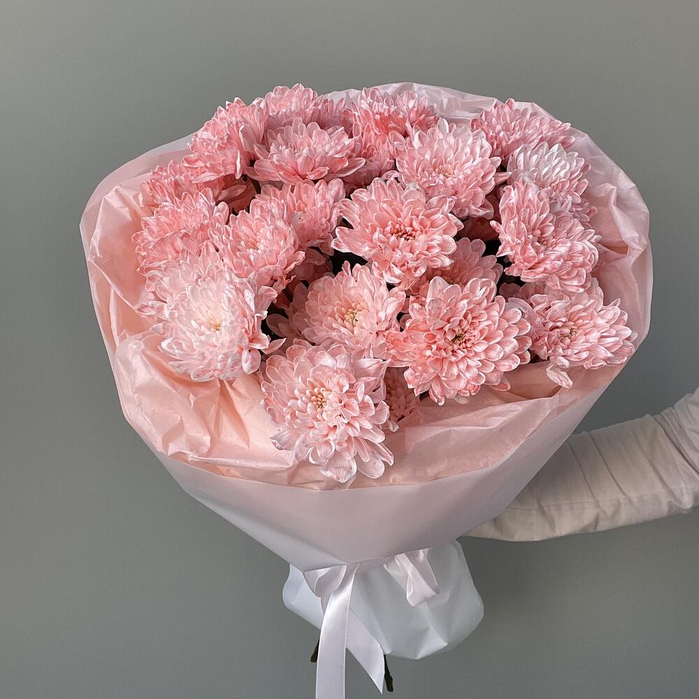5 розовых хризантем🩷🌸
