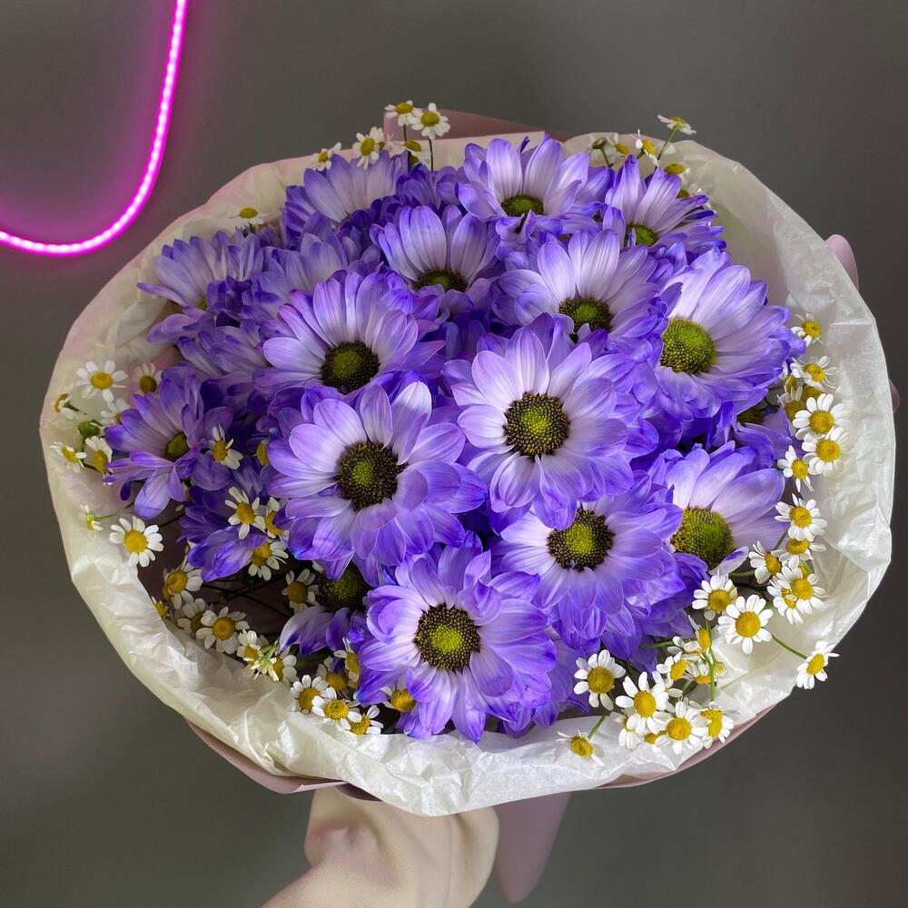 5 фиолетовых ромашек🌸