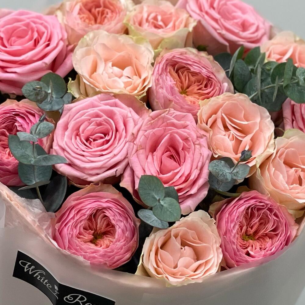 💗 Розовый шёпот