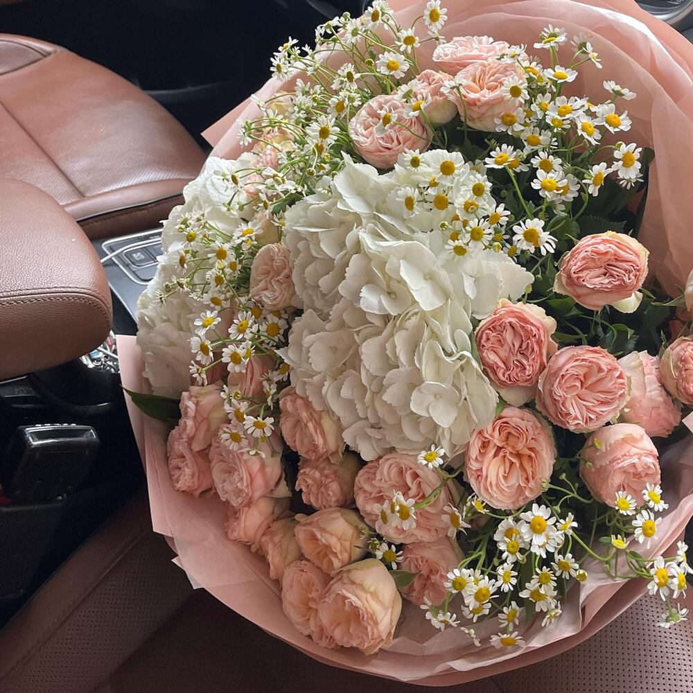 Elegancy🌸