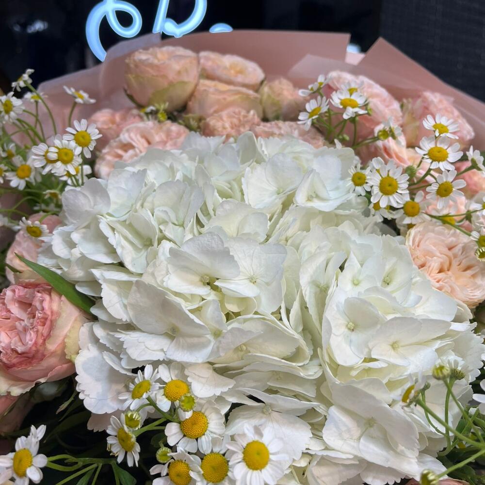 Elegancy🌸