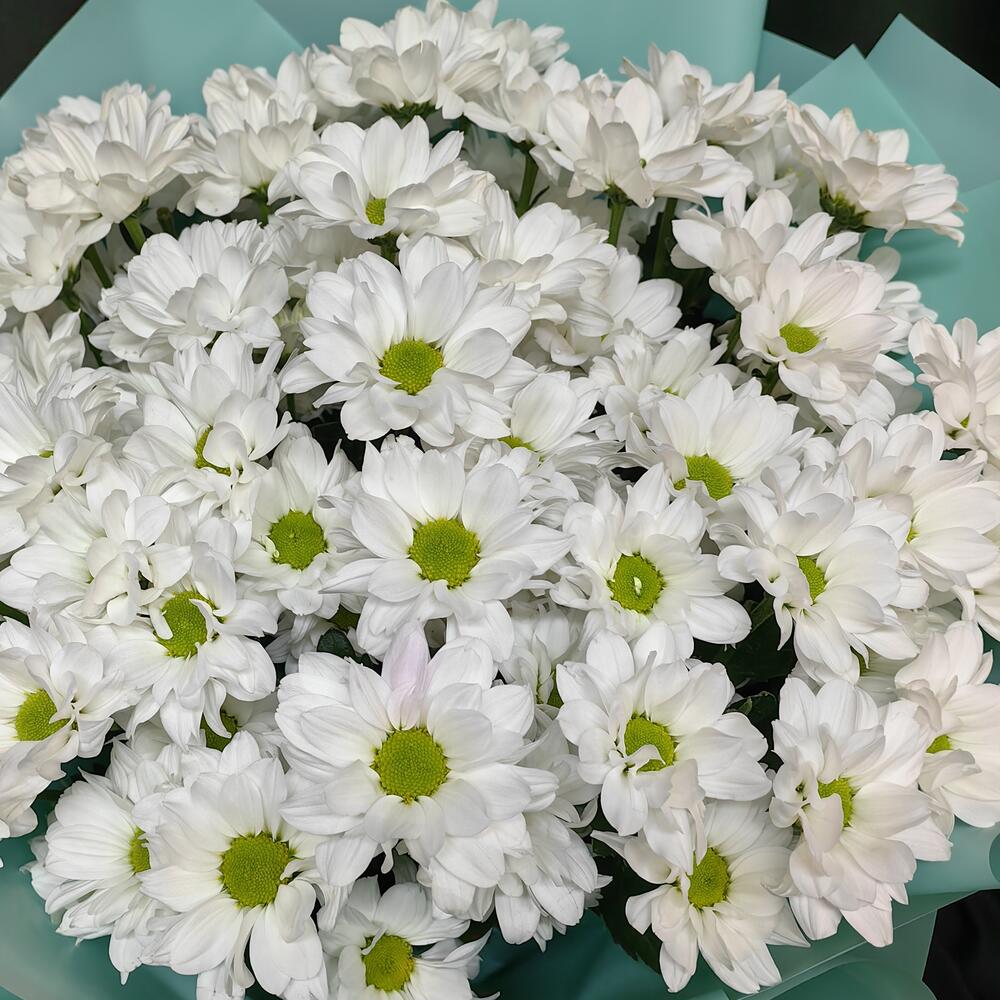 Букет из 9 белых ромашковых кустовых хризантем (код 430)